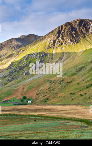 Cottage gallois blanchis sous le pic de Goch, Nant Ffrancon Foel Valley, Parc National de Snowdonia, Gwynedd, au nord du Pays de Galles, Royaume-Uni Banque D'Images