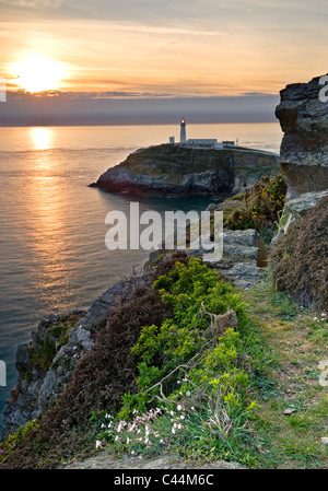 Phare de South Stack au coucher du soleil, l'Île Sainte, Anglesey, au nord du Pays de Galles, Royaume-Uni Banque D'Images