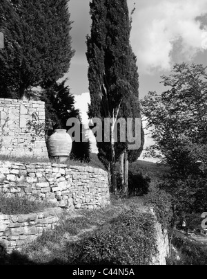 La pente de la colline en terrasses ayant mur de pierre, une amphore et le chemin menant à des cyprès, Castello d'Albola, Toscane, Italie Banque D'Images