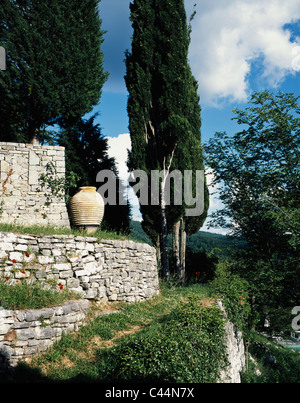 La pente de la colline en terrasses ayant mur de pierre, une amphore et le chemin menant à des cyprès, Castello d'Albola, Toscane, Italie Banque D'Images