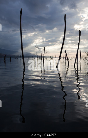 L'aube à Saltlake Lago Enriquillo, Independencia Province, République Dominicaine Banque D'Images