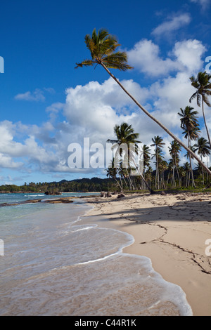 Playa Rincon Beach près de Las Galeras, Péninsule de Samana, République Dominicaine Banque D'Images