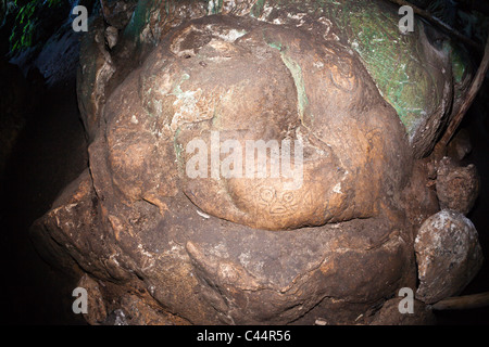 La CEMI gravures à l'intérieur de San Gabriel, Grotte de calcaire du parc national Los Haitises, République Dominicaine Banque D'Images