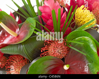 Bouquet de fleurs rouge y compris (anthurium flamingo lily), heliconia et red ginger lily, close-up Banque D'Images