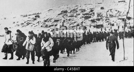 Prisonniers de guerre allemands après la capitulation de Stalingrad, 1943 Banque D'Images