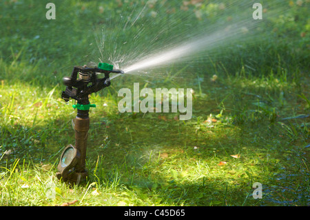 Un jardin Arrosage arrosage de pelouse Banque D'Images