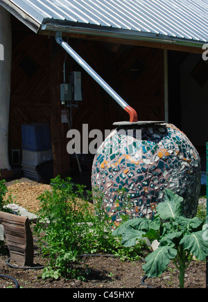 Des barils de pluie sont utilisées pour recueillir l'eau de la pluie des gouttières et seront ensuite utilisés pour arroser les plantes. Banque D'Images