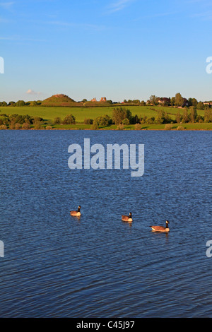 Pugneys Country Park et le lac dominé par les ruines de Sandal Castle, Wakefield, West Yorkshire, Angleterre, Royaume-Uni. Banque D'Images