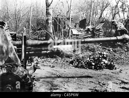 Nettoyage de la forêt de Bavent par les soldats allemands, 1944 Banque D'Images