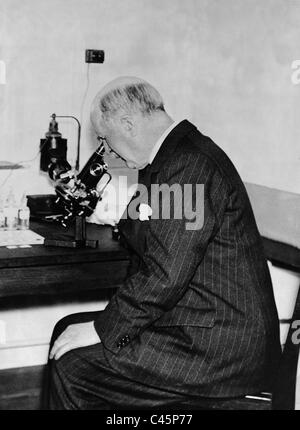 William Henry Bragg au microscope, 1936 Banque D'Images