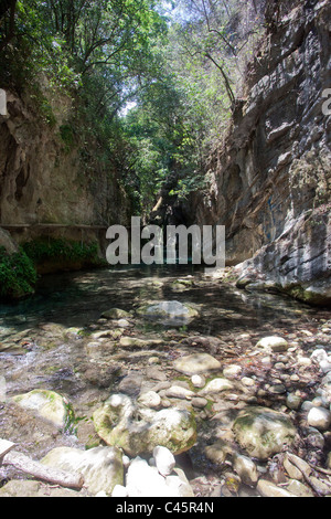 Sur le chemin de Puente de Dios, une cascade ou chute d'eau de la Sierra Gorda, près de la ville de Pinal de Amoles, Queretaro, Mexique Banque D'Images