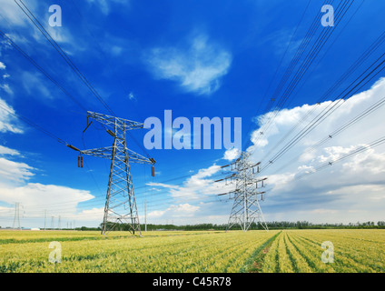 Lignes à haute tension au-dessus du champ de blé Banque D'Images