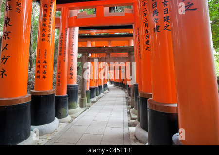 Portes torii Orange line la voie à Fushimi-Inari Taisha Temple à Kyoto, au Japon. Banque D'Images