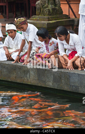 Alimentation de la Pura BALINAIS KOI TEMPLE TIRTA EMPUL complexe durant le festival GALUNGAN - TAMPAKSIRING, BALI, INDONÉSIE Banque D'Images