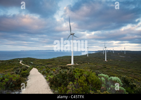 Ferme éolienne. Albany, Australie occidentale, Australie Banque D'Images