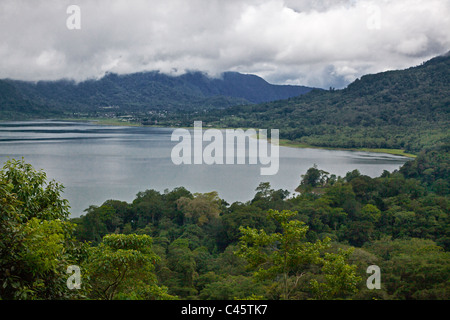 Florishes de forêt tropicale sur la rive du lac DANAU BUYAN DANAU BRATAN dans le salon - BALI, INDONÉSIE Banque D'Images