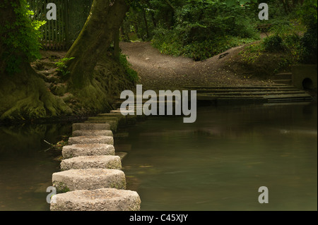 Dans stepping stones River Mole à Surrey offrent un passage sûr à travers l'eau profonde Banque D'Images