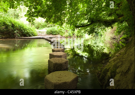 Dans stepping stones River Mole à Surrey offrent un passage sûr à travers l'eau profonde Banque D'Images