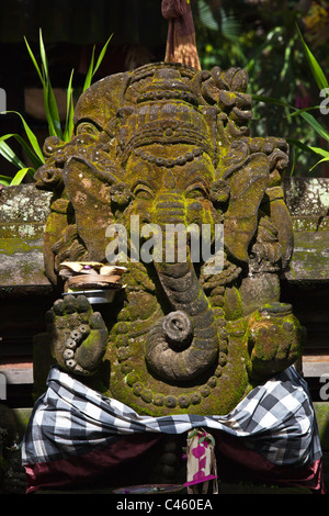 Une statue en pierre du dieu hindou GANESH - UBUD, BALI, INDONÉSIE Banque D'Images