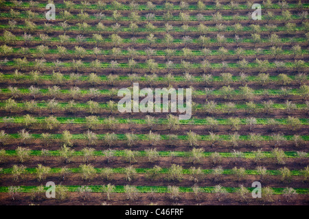 Photographie aérienne du champs de l'agriculture de la vallée de Jezreel Banque D'Images