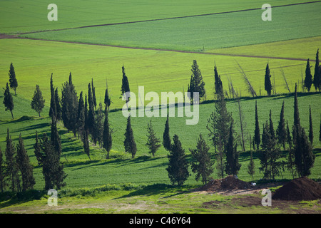 Photographie aérienne du champs de l'Agriculture de la Galilée Banque D'Images