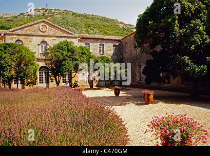 L'abbaye Sainte-Marie de Fontfroide (Abbaye de Fontfroide), monastère bénédictin dans le sud de la France. Banque D'Images