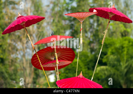 Asiatique rouge traditionnel thaï parapluies dans festival, Thaïlande Banque D'Images