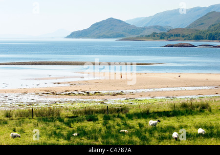 Au sud-ouest sur la rive ouest du Loch Linnhe sur la côte ouest de l'Écosse, au Royaume-Uni. Depuis près de Corran et Sallachan Point Banque D'Images