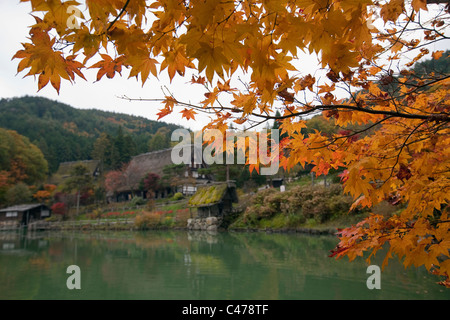 Les feuilles d'automne, au toit de chaume traditionnel restauré des maisons, et l'étang à Hida-no-Sato Folk Village, Takayama, Gifu, Japon. Banque D'Images