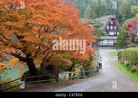 Feuillage de l'automne et conservé à la maison au toit de chaume, Hida-no-Sato Folk Village, Takayama, Gifu, Japon, Asie. Banque D'Images