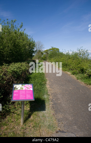 L'entrée du jardin botanique national du pays de Galles est consacrée à
