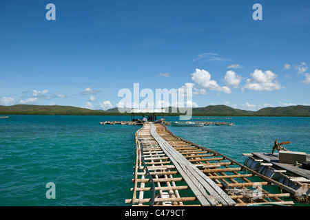 Jetée de Kazu Perles. Vendredi, l'île îles du détroit de Torres, Queensland, Australie Banque D'Images