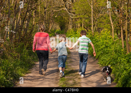 Une mère et ses deux fils à pied le chien sur une voie de pays au printemps au Royaume-Uni Banque D'Images