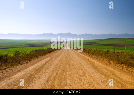 Route de terre menant à Nethercourt à partir de la route N2 près de Caledon, dans l'ouest de l'Afrique du Sud de la Province du Cap. Banque D'Images