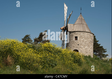 Moulin dans le Luberon en France pendant le printemps avec des fleurs sauvages qui l'entourent. Banque D'Images