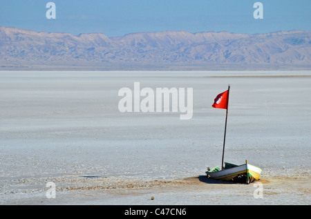 Chott el Jerid salt lake, Tunisie Banque D'Images