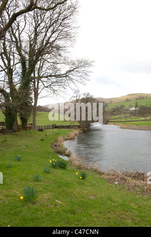 La rivière Kent, près de Staveley, Cumbria Banque D'Images