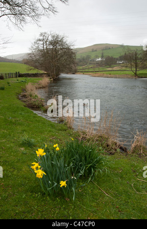 La rivière Kent, près de Staveley, Cumbria Banque D'Images