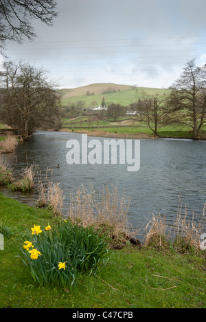 La rivière Kent, près de Staveley, Cumbria Banque D'Images