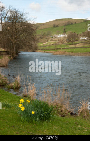 La rivière Kent, près de Staveley, Cumbria Banque D'Images