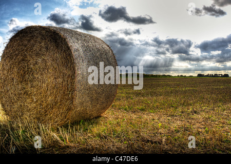 Rouleau de foin et de la paille dans le champ des agriculteurs en Louth Lincolnshire Wolds, attendant, collection Banque D'Images