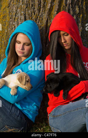 Deux des filles en âge d'adolescence tenir labrador retriever puppies Banque D'Images