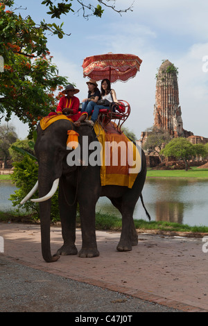 Les éléphants donnant des promenades aux touristes à Ayutthaya Historical Park sont généralement à partir de l'Ayutthaya Elephant Camp. Banque D'Images