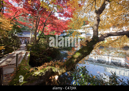 Jardiniers à ramasser des feuilles Shoyo-en Garden, Rinno-ji, Nikko, Préfecture Tochigi, au Japon. Banque D'Images