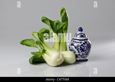 Trois chefs de pak choi contre un fond gris. Banque D'Images