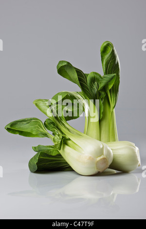 Trois chefs de pak choi contre un fond gris. Banque D'Images