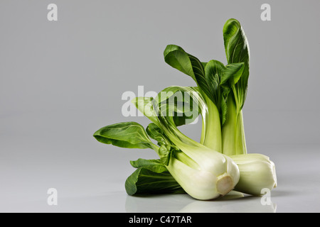 Trois chefs de pak choi contre un fond gris. Banque D'Images