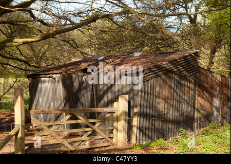 Vieille cabane à côté du North Downs Way, Surrey, UK Banque D'Images