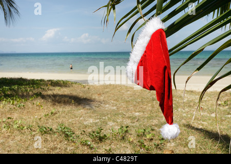 Santas claus hat hanging on palm tree leaf in tropical beach Banque D'Images