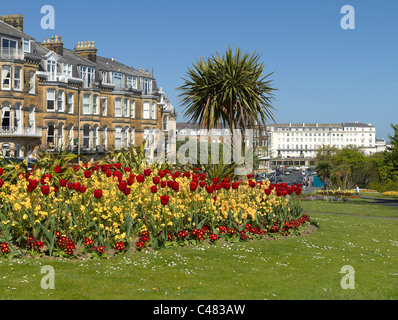 Hôtels et maisons d'hôtes sur le front de mer à Spring South Cliff Scarborough North Yorkshire Angleterre Royaume-Uni GB Grande Grande-Bretagne Banque D'Images